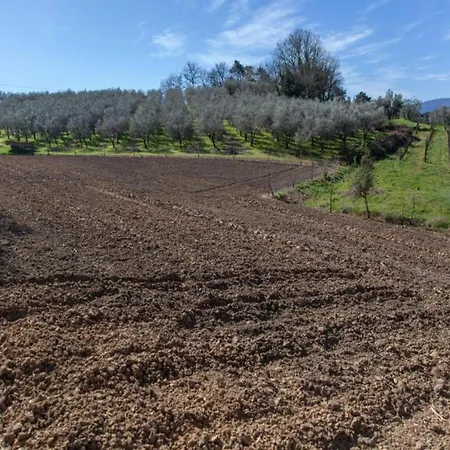 Lucca Retreat With Pool Holiday home Lucca